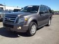 Ford Expedition XLT 4x4 Sterling Gray photo #3