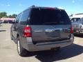 Ford Expedition XLT 4x4 Sterling Gray photo #4