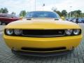 Dodge Challenger R/T Classic Stinger Yellow photo #8