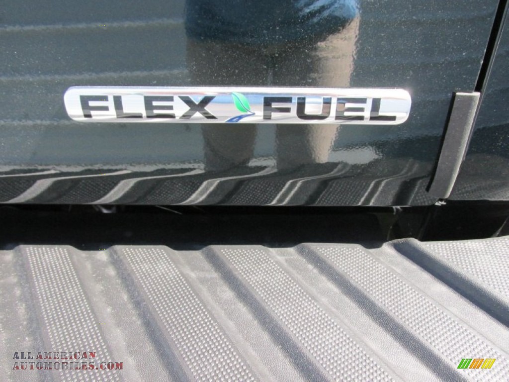 2014 F150 XLT SuperCrew - Green Gem / Steel Grey photo #17