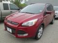 Ford Escape SE 1.6L EcoBoost Ruby Red photo #67