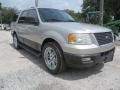 Ford Expedition XLT 4x4 Silver Birch Metallic photo #3