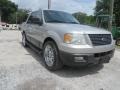 Ford Expedition XLT 4x4 Silver Birch Metallic photo #5