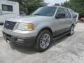 Ford Expedition XLT 4x4 Silver Birch Metallic photo #6