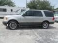 Ford Expedition XLT 4x4 Silver Birch Metallic photo #7