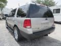 Ford Expedition XLT 4x4 Silver Birch Metallic photo #9