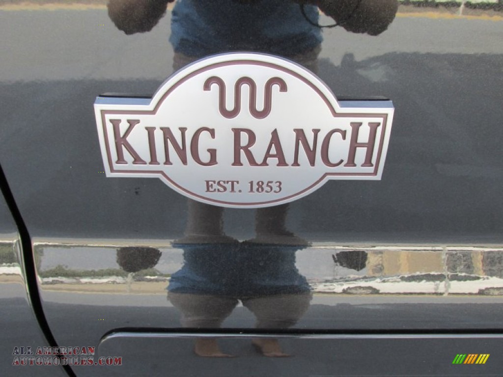 2015 F350 Super Duty King Ranch Crew Cab 4x4 - Tuxedo Black / King Ranch Mesa Antique Affect/Adobe photo #15