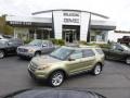 Ford Explorer Limited 4WD Ginger Ale Metallic photo #1