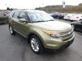 Ford Explorer Limited 4WD Ginger Ale Metallic photo #3