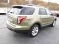 Ford Explorer Limited 4WD Ginger Ale Metallic photo #5