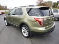 Ford Explorer Limited 4WD Ginger Ale Metallic photo #7