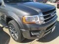 Ford Expedition XLT Magnetic Metallic photo #3