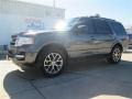 Ford Expedition XLT Magnetic Metallic photo #6