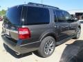 Ford Expedition XLT Magnetic Metallic photo #10