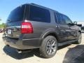 Ford Expedition XLT Magnetic Metallic photo #11