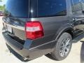 Ford Expedition XLT Magnetic Metallic photo #12