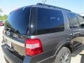 Ford Expedition XLT Magnetic Metallic photo #13