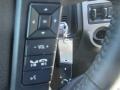Ford Expedition XLT Magnetic Metallic photo #34