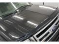 Ford Expedition XLT 4x4 Tuxedo Black photo #37