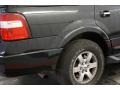 Ford Expedition XLT 4x4 Tuxedo Black photo #46