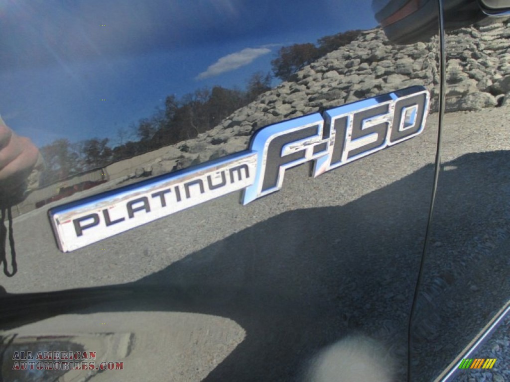 2010 F150 Platinum SuperCrew 4x4 - Tuxedo Black / Sienna Brown Leather/Black photo #4