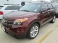 Ford Explorer Limited Bronze Fire photo #9