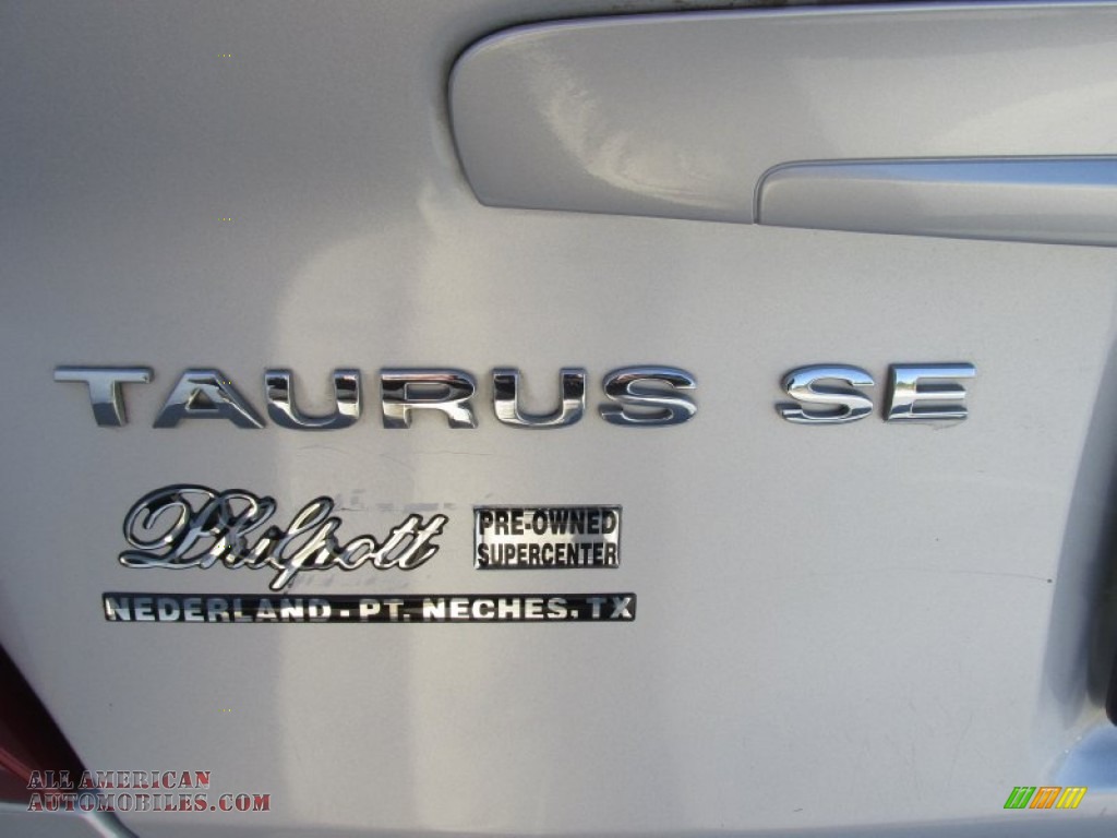 2005 Taurus SE - Silver Frost Metallic / Medium/Dark Flint photo #14