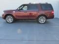 Ford Expedition King Ranch Bronze Fire Metallic photo #6