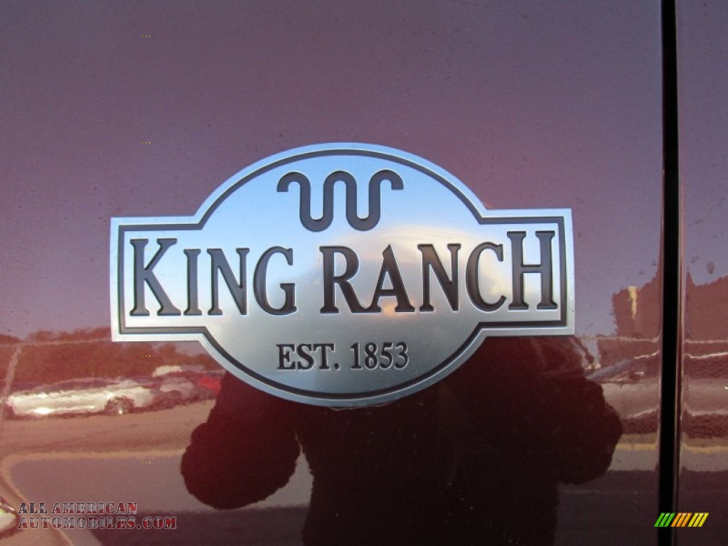 2015 Expedition King Ranch - Bronze Fire Metallic / King Ranch Mesa Brown photo #14